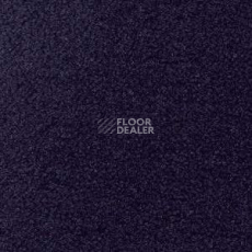 Ковролин Radici Forum Navy 2123 фото 1 | FLOORDEALER